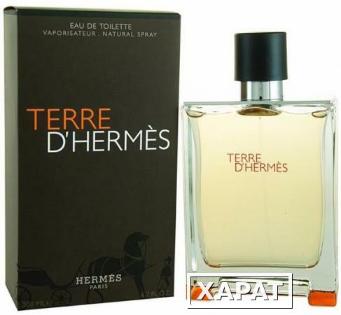 Фото Hermes Terre 100мл Тестер