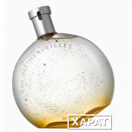 Фото Hermes Eau Des Merveilles 100мл Тестер