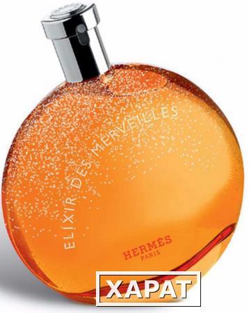 Фото Hermes Eau Des Merveilles Elixir 100мл Стандарт