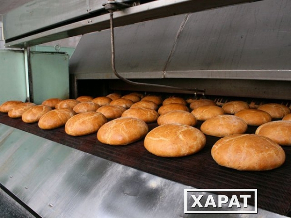 Фото Сетка конвейрная для хлебопечей и сушильных камер древесины.