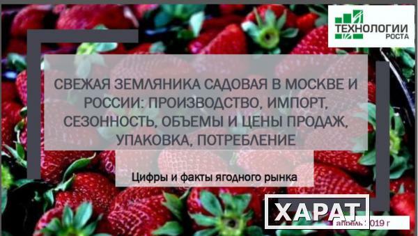 Фото Свежая садовая земляника садовая в России и Москве - 2018-2019 гг. Производство