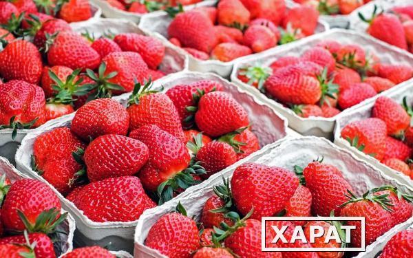 Фото Продаем оптом любая клубника и любые другие ягоды из хранилищ по всей России