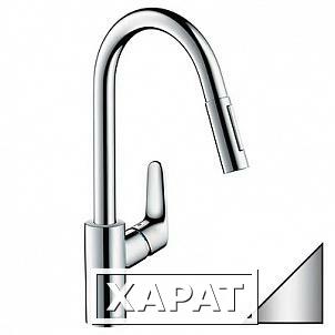 Фото Hansgrohe Focus 31815800 для кухонной мойки