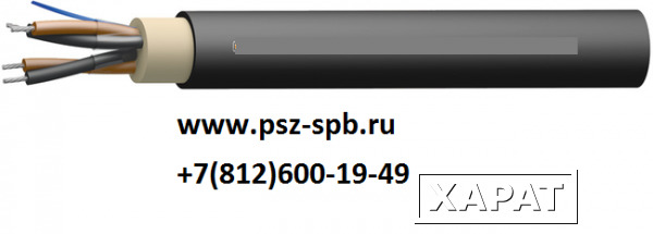 Фото СК-Рнг(А)-ОБГ Nx2xS