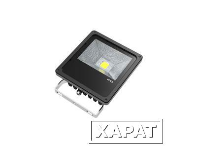 Фото ТРИАЛАЙТ Светодиодный прожектор TRL Polar Led 30