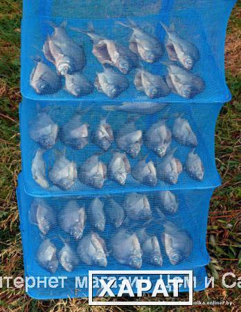 Фото Подвесная сетка сушилка 40xx40x60 овощная складная сетка-сушилка для грибов и рыбы