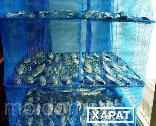 Фото Складная сетка сушилка подвесная 45:45:65 см для сушки мяса рыбы овощей фруктов грибов