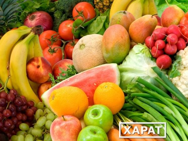 Фото Оптовая продажа фруктов и овощей от производителя