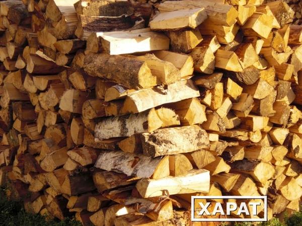 Фото Купить дрова колотые дрова березовые купить дрова