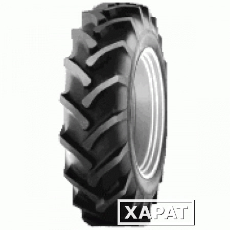 Фото Шина 12.4-28 8PR AS-Agri 19 TT Культор