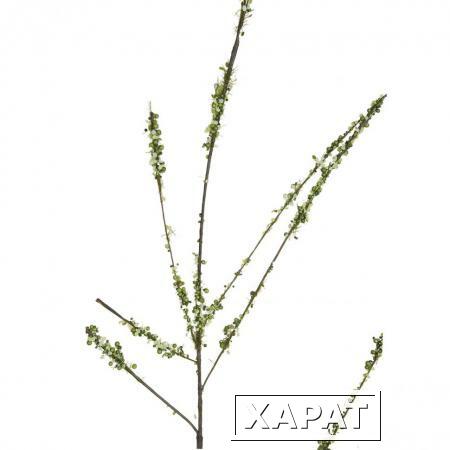 Фото Ветвь с цветами белая 152 см (12) (00002212)