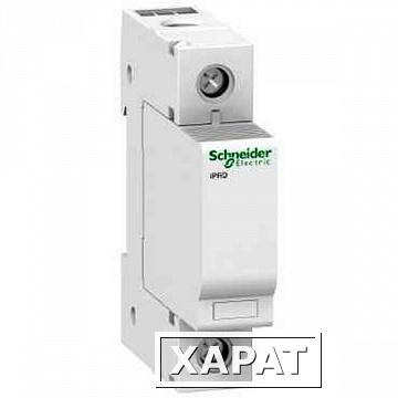 Фото УЗИП Т2 iPRD 65r 65kA 460В 1П IT СИГНАЛ | код. A9L16555 | Schneider Electric