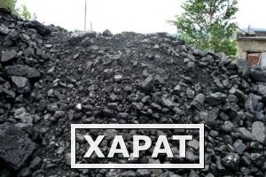 Фото Отовая продажа угля каменного ООО "КузбасскаяТЭК"