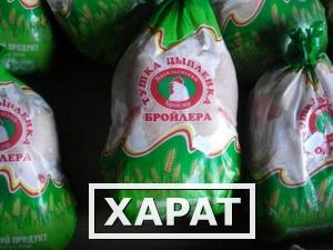 Фото Продам Цыплят бройлеры ГОСТ