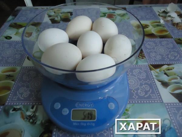 Фото Инкубационное и столовое яйцо кур Пушкинской породы