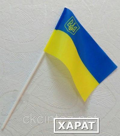 Фото Флажки Украины на палочке