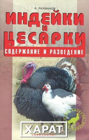 Фото Индейки и цесарки. Содержание и разведение