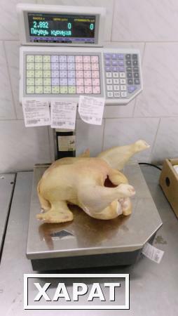 Фото Тушки куриные ЦБ (маточник) 2,7-3,5 кг ГОСТ 1 сорта