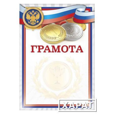 Фото Грамота Медали Российская символика 1783212