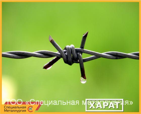 Фото Проволока колючая 90 Егоза 9 м