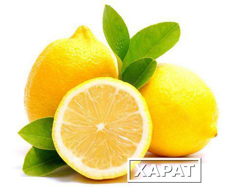 Фото Купим лимоны