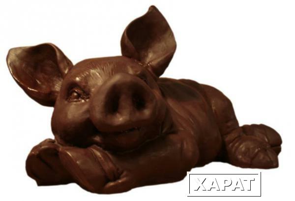 Фото Шоколадная свинья