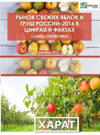 Фото Рынок свежих яблок и груш в России в цифрах и фактах. Слайд-статистика от "Технологии Роста"