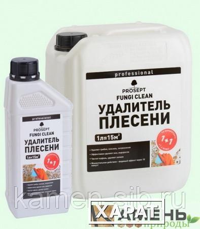 Фото Средство удаления плесени PROSEPT FUNGI CLEAN концентрат