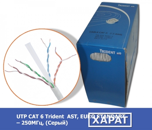 Фото UTP CAT 6 Trident AST