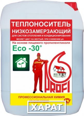 Фото Низкозамерзающий теплоноситель «PROFI Eco-30»