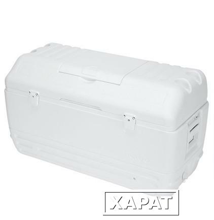 Фото Изотермический контейнер Igloo MaxCold 165