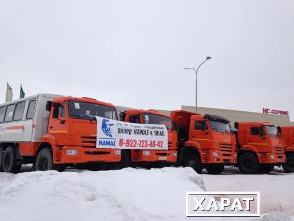 Фото Седельные тягачи КАМАЗ в Дилерском центре Ямала