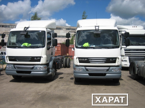 Фото Шасси DAF FA LF55.220 - 2013 г.в.