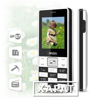 Фото Защищенный телефон Ginzzu R4 Dual