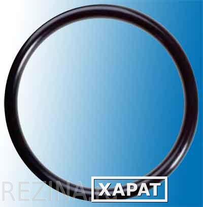 Фото Кольцо резиновое круглого сечения 143х5 мм