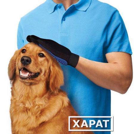 Фото Перчатка для снятия шерсти с домашних животных Pet Brush Glove