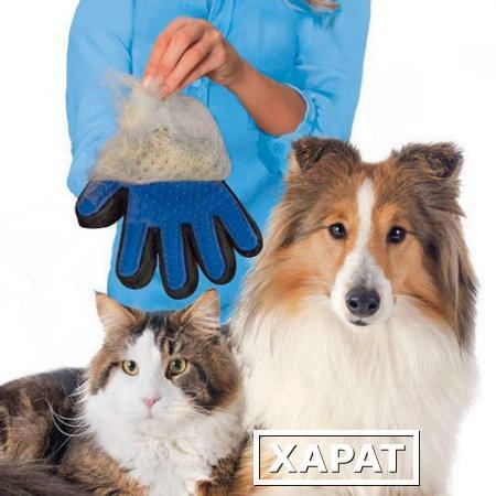 Фото Перчатка Pet Brush Glove для снятия шерсти с домашних животных