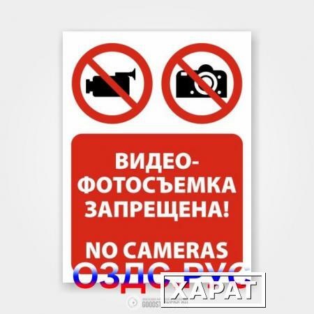 Фото Наклейка “Видео- фотосъемка запрещена! No cameras”