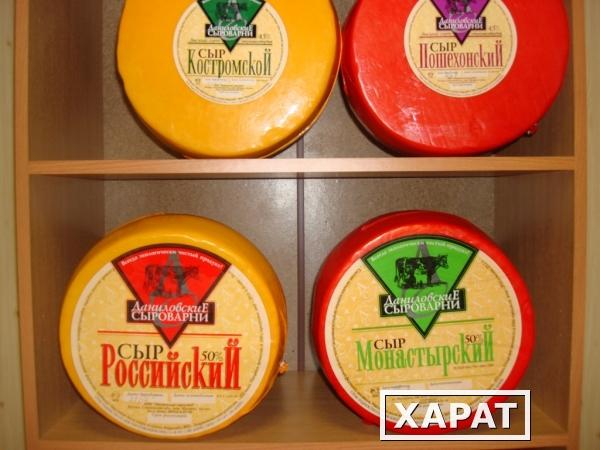 Фото Продам сыр оптом и в розницу по самым низким ценам