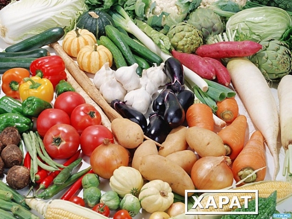 Фото Оптовые поставки овощей от отечественных и импортных производителей