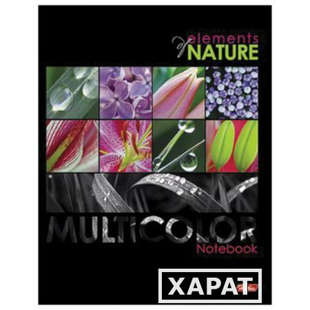 Фото Тетрадь на кольцах, 240 л., HATBER, ламинированная обложка, "Multicolor" ("Цветы")