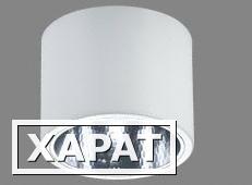 Фото Потолочный светильник направленного света DLX 218 цоколь G24-q2, 2х18Вт, электронный ПРА | арт. 82321830 | Световые Технологии