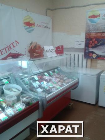 Фото Продам оборудование для магазина.рыба/мясо/курица