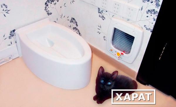 Фото Автоматический туалет для кошек Kopfgescheit KG7010