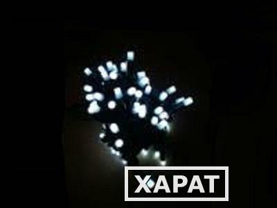 Фото Низковольтная гирлянда постоянного свечения "Нить" LED-PL-BR-120-12M-24V (цвет белый холодный