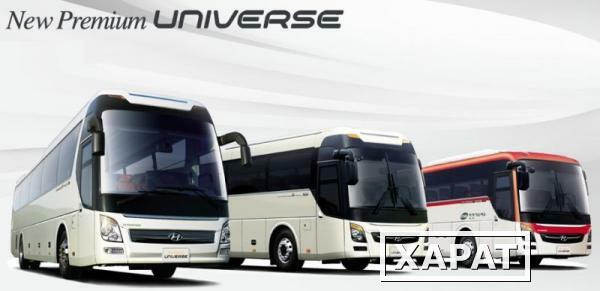 Фото Автобус Hyundai Universe Luxury 28+1 VIP
