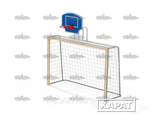 Фото Гандбольные ворота с баскетбольным щитом без сетки