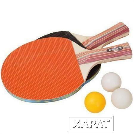 Фото Любительский набор для настольного тенниса Table Tennis Racket