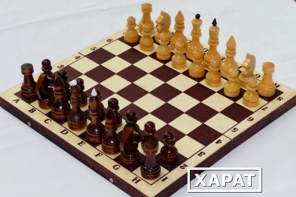 Фото Шахматы турнирные лакированные с тёмной доской E-7