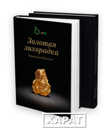 Фото Книга Владислава Мусатова "Золотая лихорадка".